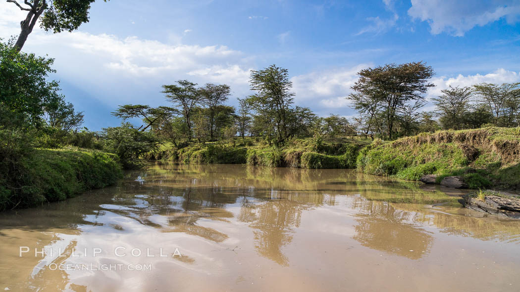 River, trees and sky, Maasai Mara, Kenya. Olare Orok Conservancy, natural history stock photograph, photo id 30022