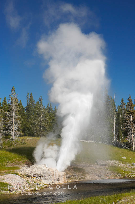 Riverside Geyser at peak eruption, arcing over the Firehole River. Riverside is a very predictable geyser. Its eruptions last 30 minutes, reach heights of 75 feet and are usually spaced about 6 hours apart. Upper Geyser Basin, Yellowstone National Park, Wyoming