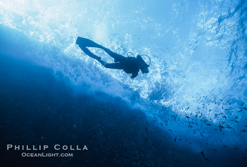 Roca Partida, Revillagigedos, Baja California, Mexico., natural history stock photograph, photo id 36218