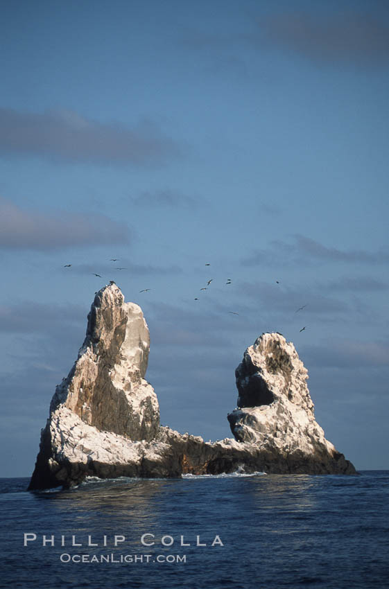 Roca Partida, a small remote seamount in the Revillagigedos., natural history stock photograph, photo id 05618