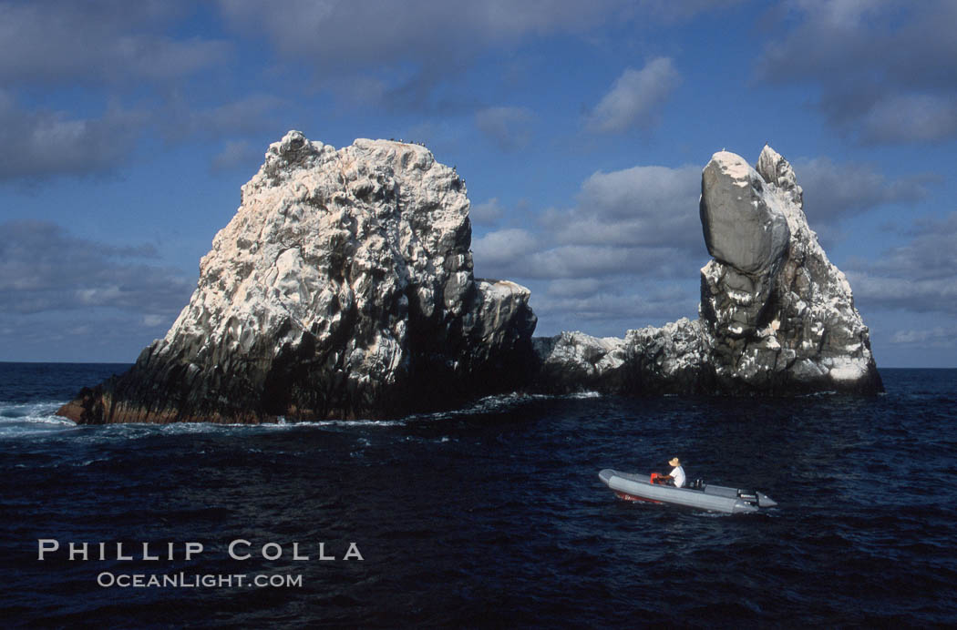 Roca Partida, a small remote seamount in the Revillagigedos., natural history stock photograph, photo id 05622