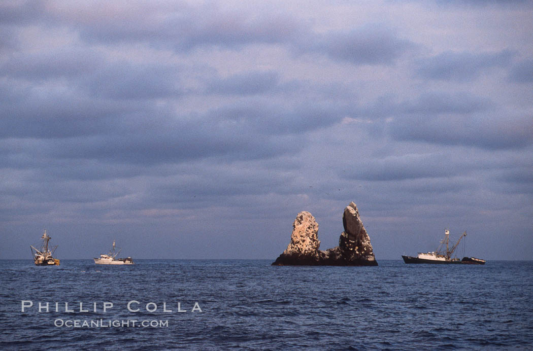 Illegal fishing at Roca Partida, Revillagigedos., natural history stock photograph, photo id 05624