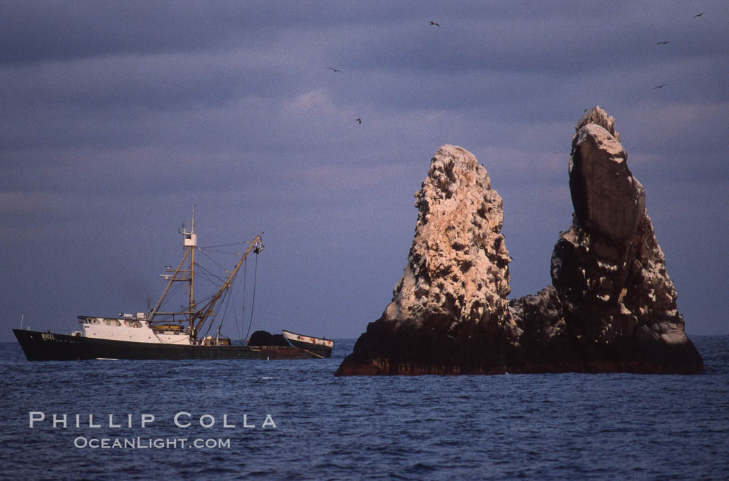 Illegal fishing at Roca Partida, Revillagigedos., natural history stock photograph, photo id 05623