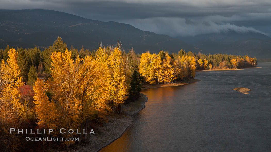 Fall colors along Little Shuswap Lake, near the Adams River. Roderick Haig-Brown Provincial Park, British Columbia, Canada, natural history stock photograph, photo id 26186