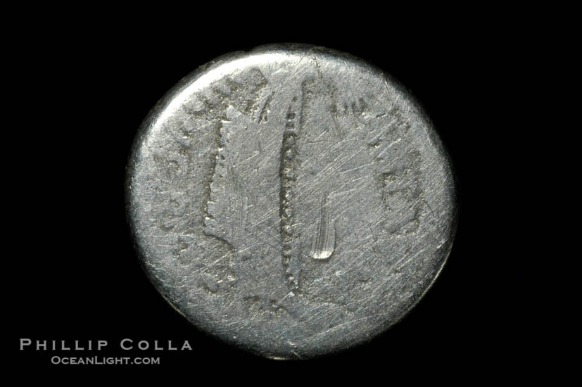 Roman emperor Marc Antony (32-31 B.C.), depicted on ancient Roman coin (silver, denom/type: Denarius) (AR , Denarius F. S 1504.)., natural history stock photograph, photo id 06520