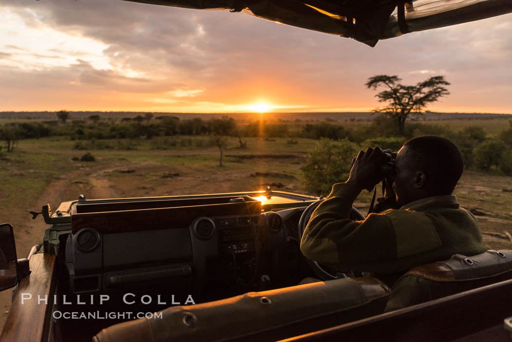 Safari guide spotting wildlife at sunrise, Olare Orok Conservancy, Kenya., natural history stock photograph, photo id 30047