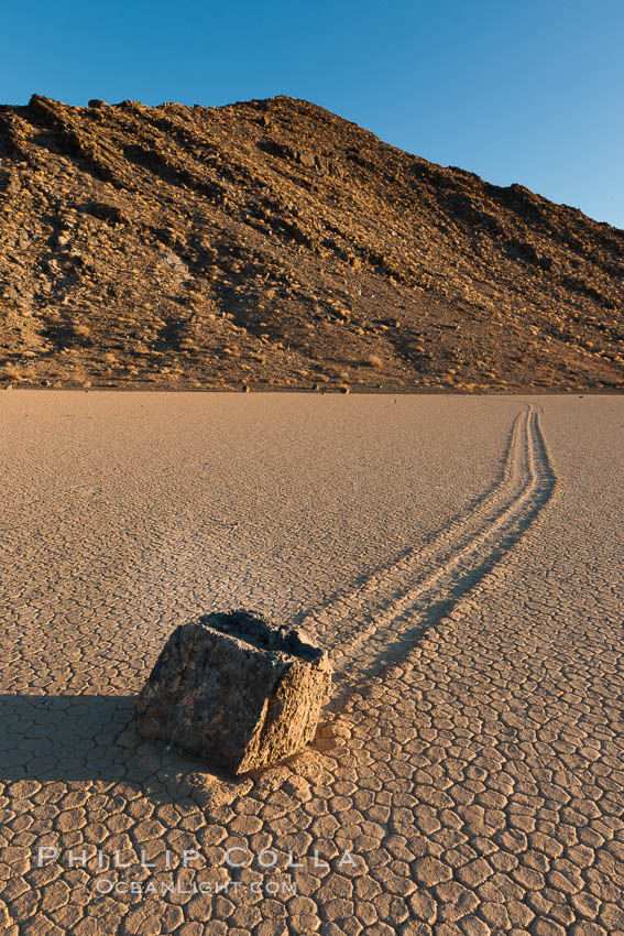 Sailing stone on the Racetrack Playa. The sliding rocks, or sailing stones, move across the mud flats of the Racetrack Playa, leaving trails behind in the mud. The explanation for their movement is not known with certainty, but many believe wind pushes the rocks over wet and perhaps icy mud in winter. Death Valley National Park, California, USA, natural history stock photograph, photo id 27691
