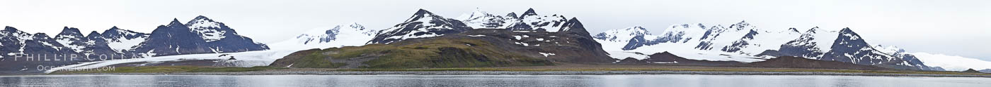 Salisbury Plain on South Georgia Island is home to an immense rookery of King Penguins.  It is a spectacular wildlife location, unequaled in all the world