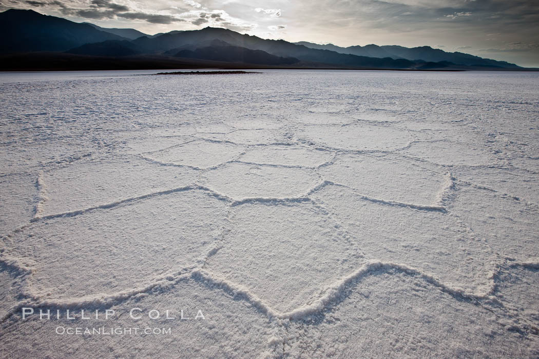 Salt polygons.  After winter flooding, the salt on the Badwater Basin playa dries into geometric polygonal shapes. Death Valley National Park, California, USA, natural history stock photograph, photo id 25303