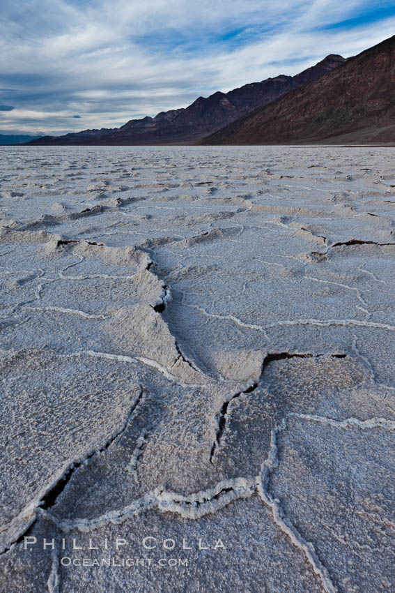 Salt polygons. After winter flooding, the salt on the Badwater Basin playa dries into geometric polygonal shapes. Death Valley National Park, California, USA, natural history stock photograph, photo id 27631