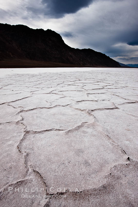 Salt polygons.  After winter flooding, the salt on the Badwater Basin playa dries into geometric polygonal shapes. Death Valley National Park, California, USA, natural history stock photograph, photo id 25293