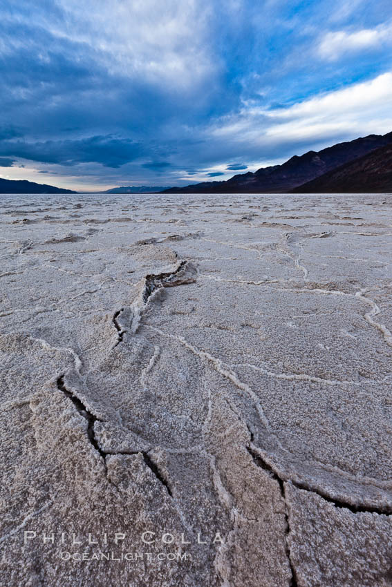 Salt polygons. After winter flooding, the salt on the Badwater Basin playa dries into geometric polygonal shapes. Death Valley National Park, California, USA, natural history stock photograph, photo id 27633