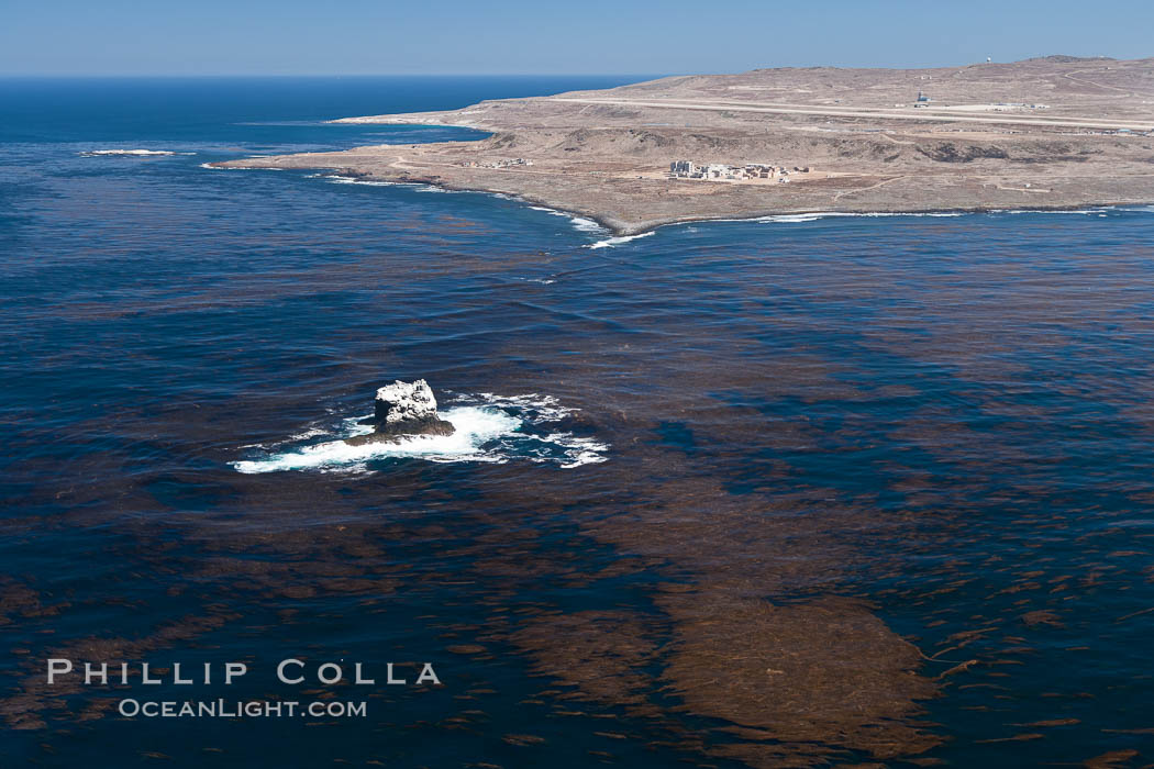 San Clemente Island and Castle Rock, kelp beds visible at the ocean surface. California, USA, natural history stock photograph, photo id 26021