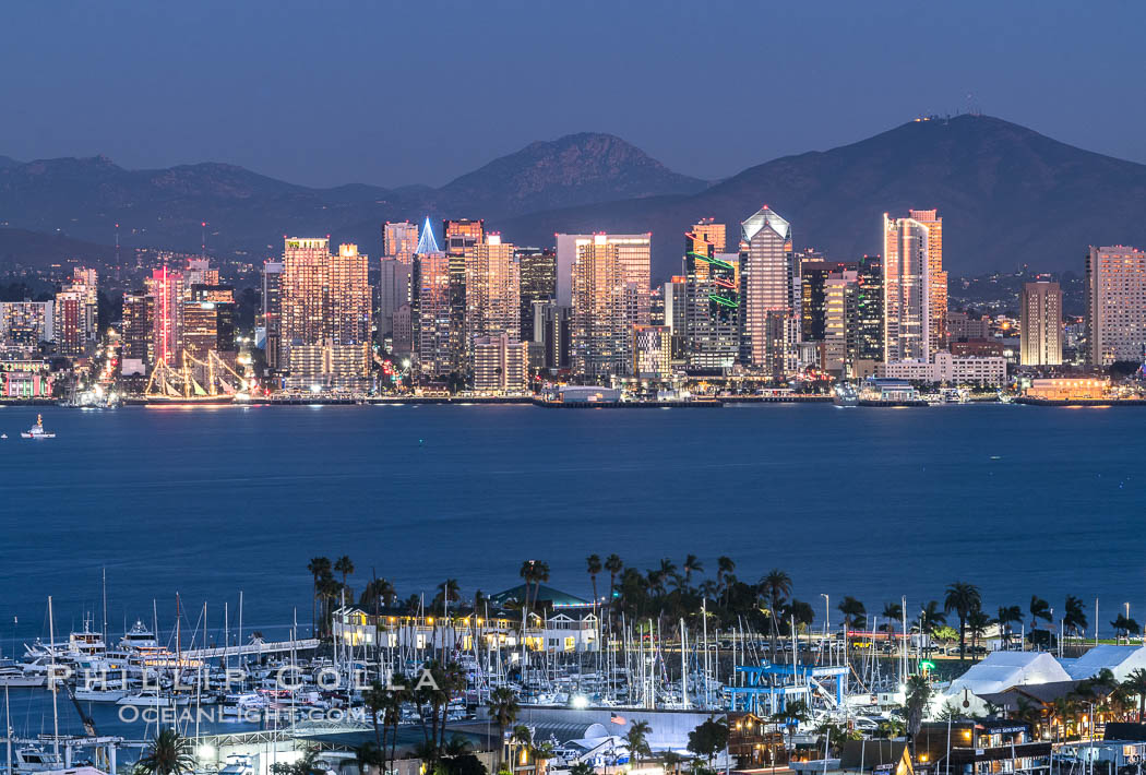 San Diego City Skyline at Night., natural history stock photograph, photo id 36638