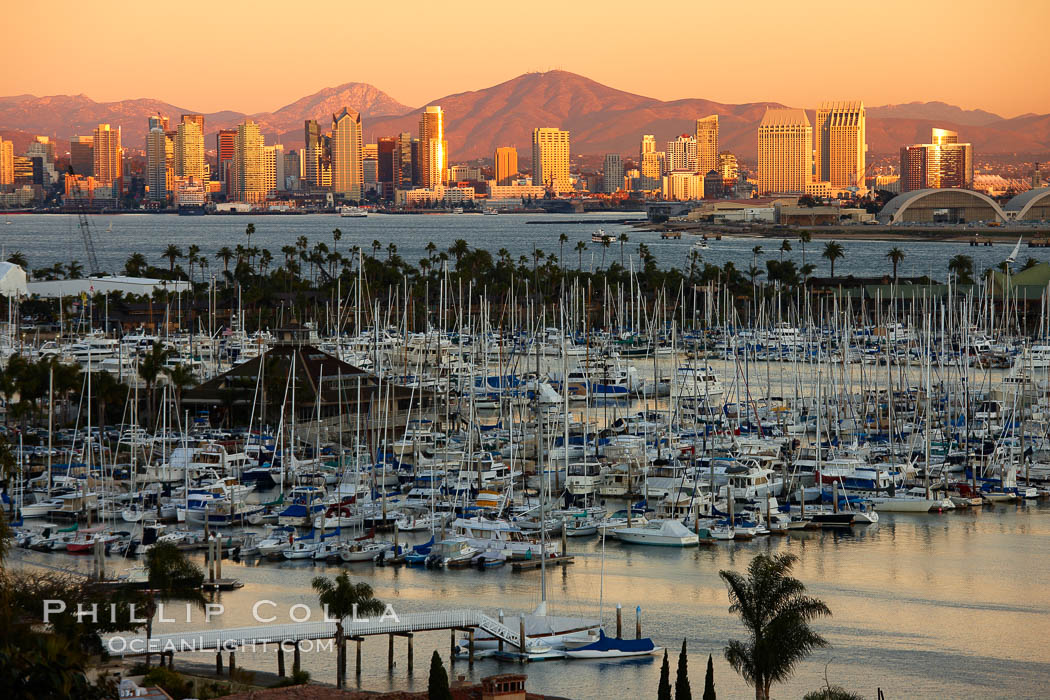 San Diego city skyline, showing the buildings of downtown San Diego rising above San Diego Harbor, viewed from Point Loma with the San Diego Yacht Club in the foreground, sunset. California, USA, natural history stock photograph, photo id 22262