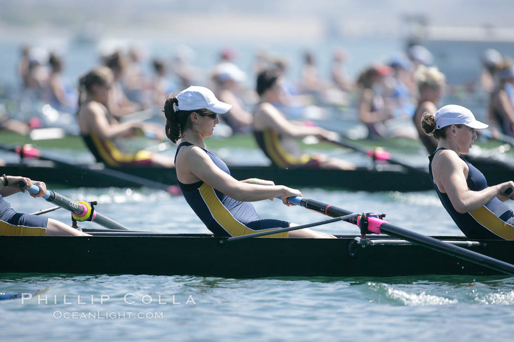 Cal (UC Berkeley) women en route to a second place finish in the Jessop-Whittier Cup final, 2007 San Diego Crew Classic. Mission Bay, California, USA, natural history stock photograph, photo id 18646