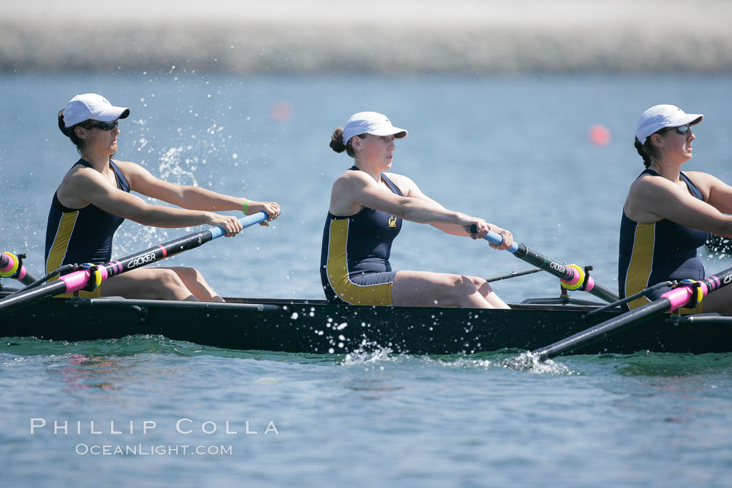 Cal (UC Berkeley) women en route to a second place finish in the Jessop-Whittier Cup final, 2007 San Diego Crew Classic. Mission Bay, California, USA, natural history stock photograph, photo id 18700