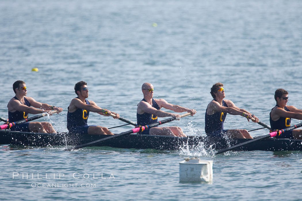 Cal (UC Berkeley) men's collegiate novice crew on their way to winning the Derek Guelker Memorial Cup, 2007 San Diego Crew Classic. Mission Bay, California, USA, natural history stock photograph, photo id 18659
