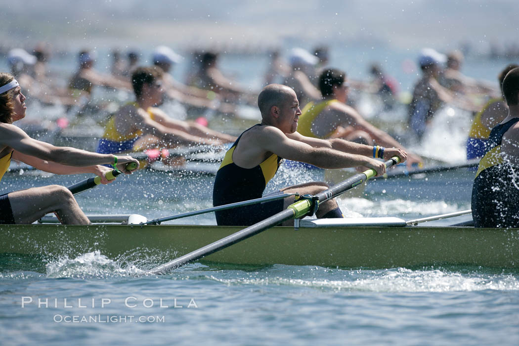 UCSD men on their way to winning the finals of the Cal Cup, 2007 San Diego Crew Classic. Mission Bay, California, USA, natural history stock photograph, photo id 18675
