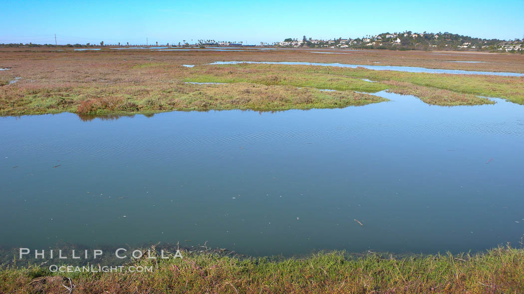 San Elijo lagoon at high tide, looking from the south shore north west, San Elijo Lagoon, Encinitas, California