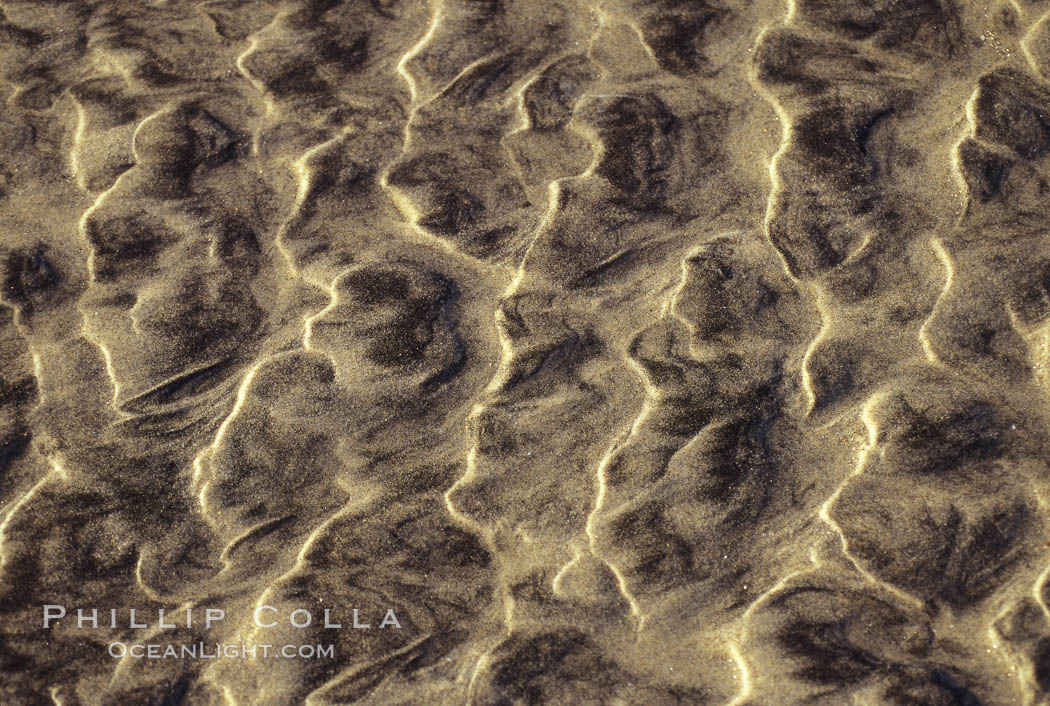 Sand ripples., natural history stock photograph, photo id 05648