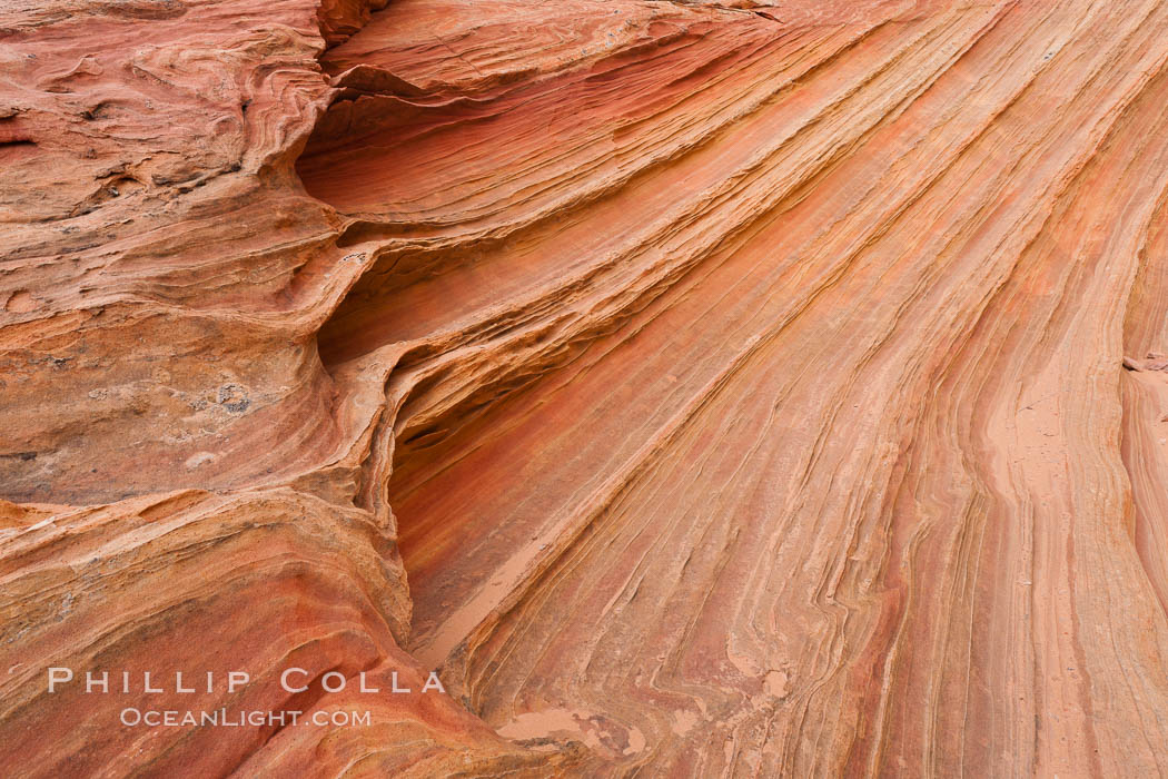 Sandstone details, South Coyote Buttes. Paria Canyon-Vermilion Cliffs Wilderness, Arizona, USA, natural history stock photograph, photo id 26640