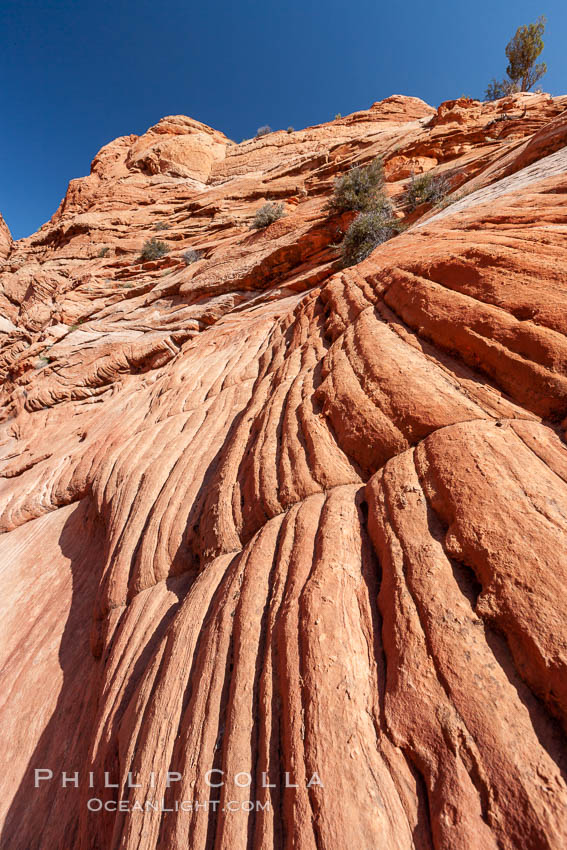 Sandstone formations.  Layers of sandstone are revealed by erosion in the Wire Pass narrows. Paria Canyon-Vermilion Cliffs Wilderness, Arizona, USA, natural history stock photograph, photo id 20731