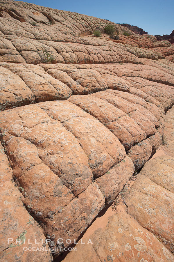 Sandstone joints.  These cracks and joints are formed in the sandstone by water that seeps into spaces and is then frozen at night, expanding and cracking the sandstone into geometric forms., natural history stock photograph, photo id 20760