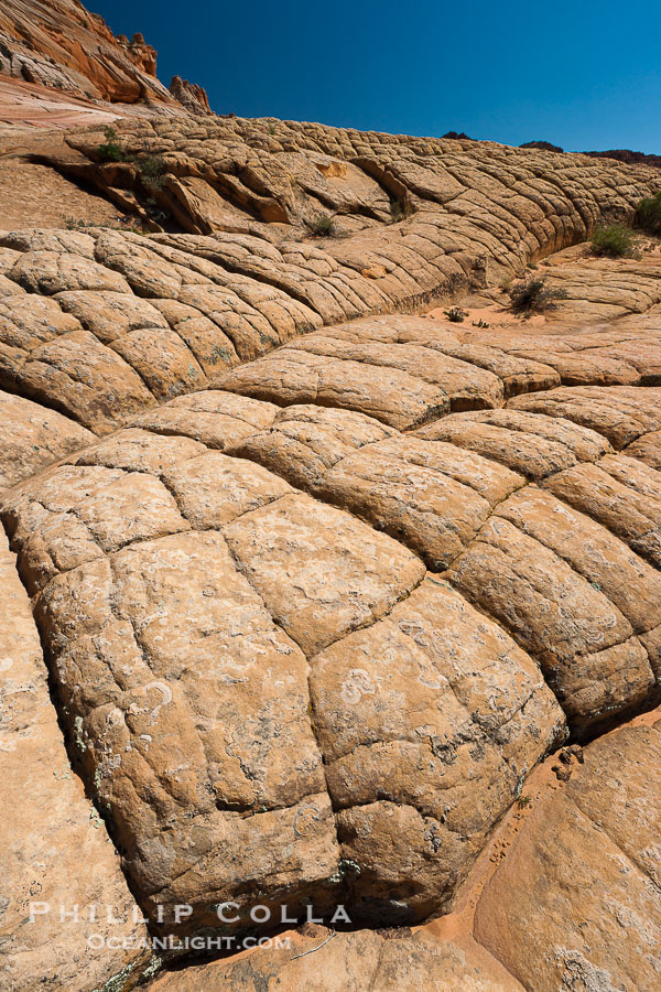 Sandstone joints.  These cracks and joints are formed in the sandstone by water that seeps into spaces and is then frozen at night, expanding and cracking the sandstone into geometric forms., natural history stock photograph, photo id 20759