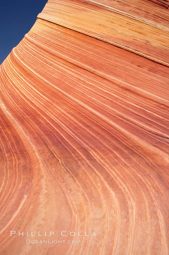Sandstone striations.  Prehistoric sand dunes, compressed into sandstone, are now revealed in sandstone layers subject to the carving erosive forces of wind and water. North Coyote Buttes, Paria Canyon-Vermilion Cliffs Wilderness, Arizona, USA, natural history stock photograph, photo id 20744