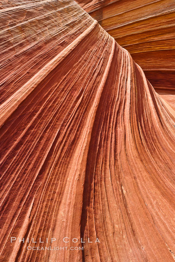 The Wave, an area of fantastic eroded sandstone featuring beautiful swirls, wild colors, countless striations, and bizarre shapes set amidst the dramatic surrounding North Coyote Buttes of Arizona and Utah.  The sandstone formations of the North Coyote Buttes, including the Wave, date from the Jurassic period. Managed by the Bureau of Land Management, the Wave is located in the Paria Canyon-Vermilion Cliffs Wilderness and is accessible on foot by permit only. USA, natural history stock photograph, photo id 20615