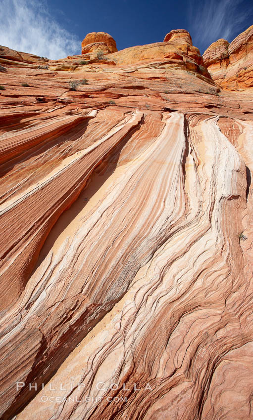 Striations in sandstone tell of eons of sedimentary deposits, a visible geologic record of the time when this region was under the sea. North Coyote Buttes, Paria Canyon-Vermilion Cliffs Wilderness, Arizona, USA, natural history stock photograph, photo id 20627