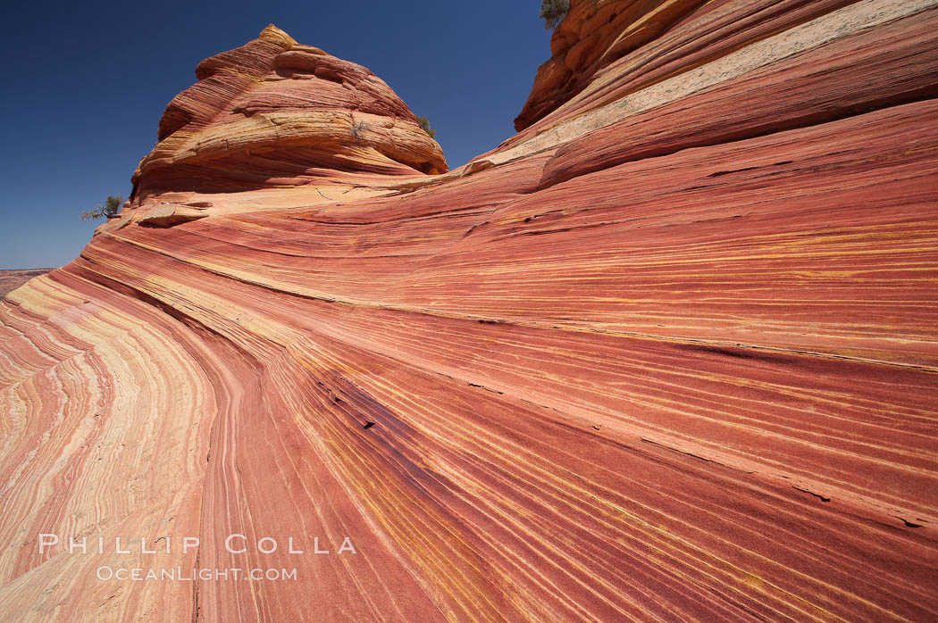 Sandstone striations.  Prehistoric sand dunes, compressed into sandstone, are now revealed in sandstone layers subject to the carving erosive forces of wind and water. North Coyote Buttes, Paria Canyon-Vermilion Cliffs Wilderness, Arizona, USA, natural history stock photograph, photo id 20735