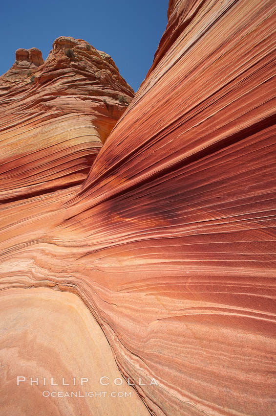 Sandstone striations.  Prehistoric sand dunes, compressed into sandstone, are now revealed in sandstone layers subject to the carving erosive forces of wind and water. North Coyote Buttes, Paria Canyon-Vermilion Cliffs Wilderness, Arizona, USA, natural history stock photograph, photo id 20733
