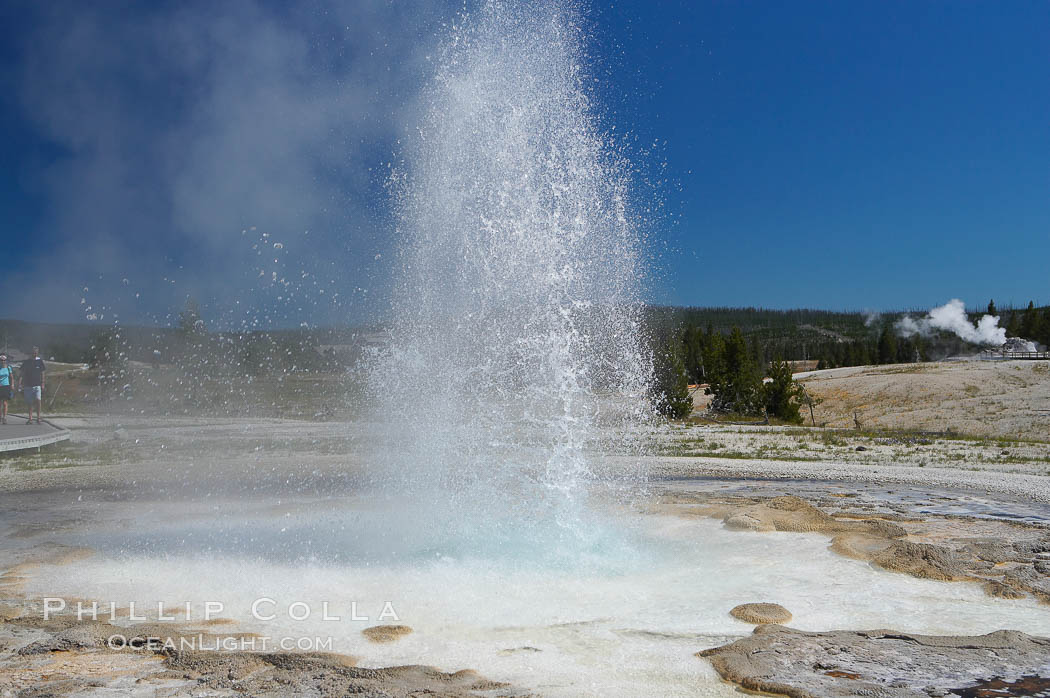 Sawmill Geyser erupting.  Sawmill Geyser is a fountain-type geyser and, in some circumstances, can be erupting about one-third of the time up to heights of 35 feet.  Upper Geyser Basin. Yellowstone National Park, Wyoming, USA, natural history stock photograph, photo id 13386