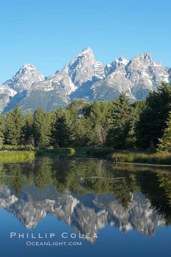 The Teton Range is reflected in the glassy waters of the Snake River at Schwabacher Landing. Grand Teton National Park, Wyoming, USA, natural history stock photograph, photo id 12993