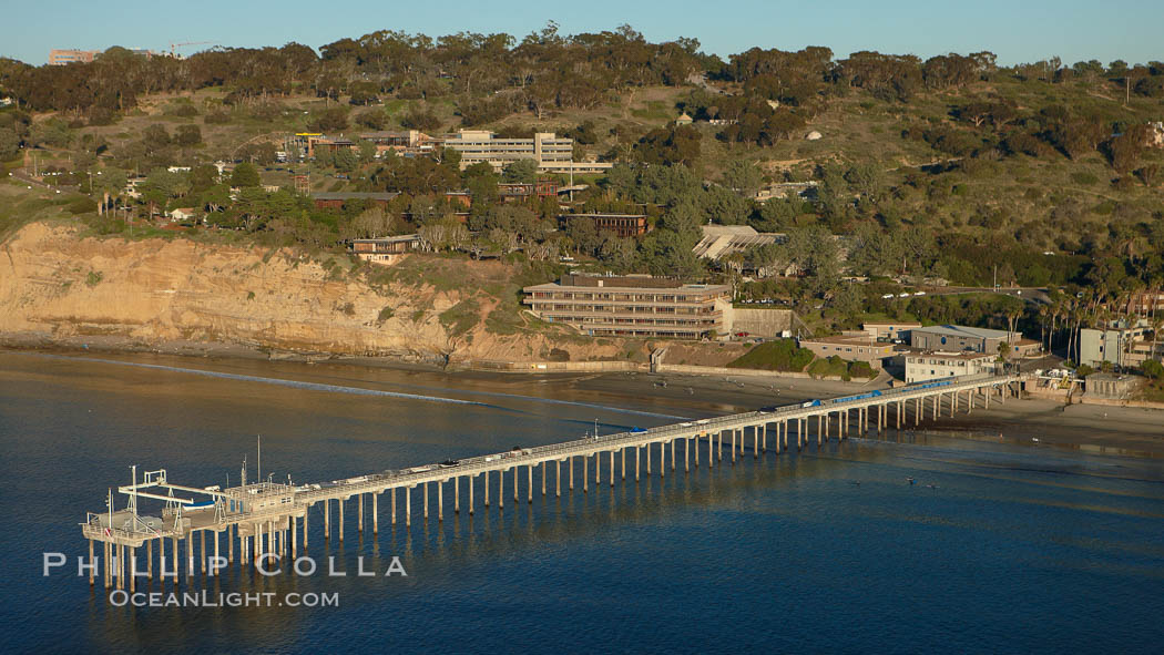 SIO Pier.  The Scripps Institution of Oceanography research pier is 1090 feet long and was built of reinforced concrete in 1988, replacing the original wooden pier built in 1915. The Scripps Pier is home to a variety of sensing equipment above and below water that collects various oceanographic data. The Scripps research diving facility is located at the foot of the pier. Fresh seawater is pumped from the pier to the many tanks and facilities of SIO, including the Birch Aquarium. The Scripps Pier is named in honor of Ellen Browning Scripps, the most significant donor and benefactor of the Institution. La Jolla, California, USA, natural history stock photograph, photo id 22293