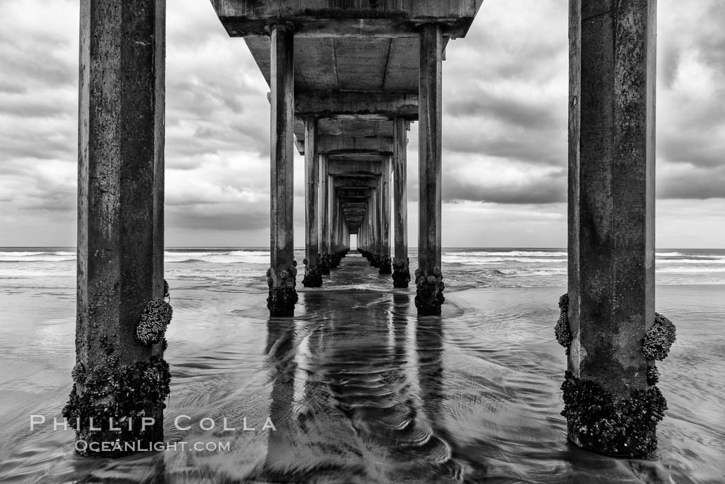 Scripps Institution of Oceanography research pier. La Jolla, California, USA, natural history stock photograph, photo id 29130