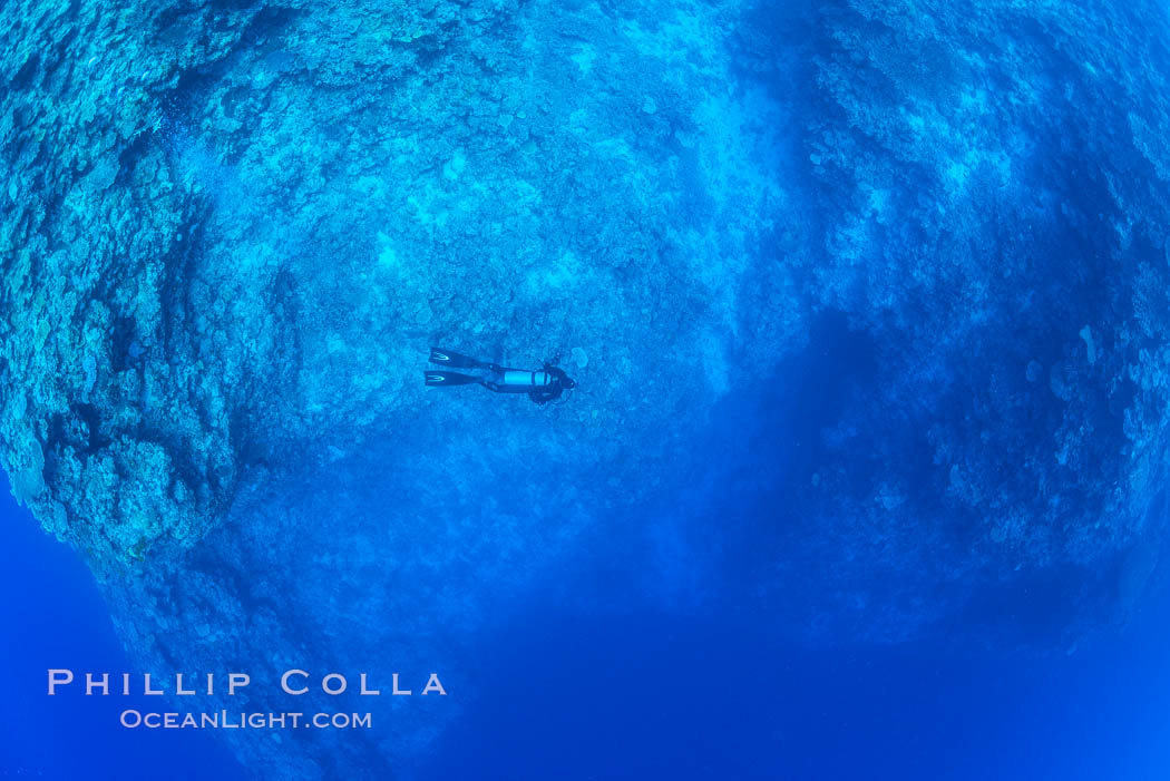 SCUBA diver over pristine South Pacific coral reef, Fiji. Wakaya Island, Lomaiviti Archipelago, natural history stock photograph, photo id 31550