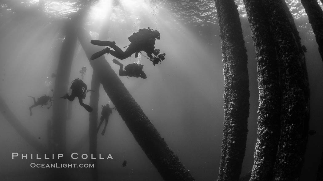 SCUBA Divers explore an oil platform. Long Beach, California, USA, natural history stock photograph, photo id 34255