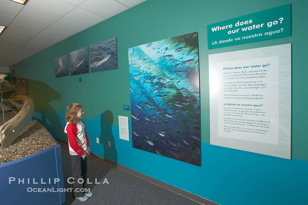 A young visitor views wall displays at the "Water" exhibit, San Diego Natural History Museum., natural history stock photograph, photo id 22179