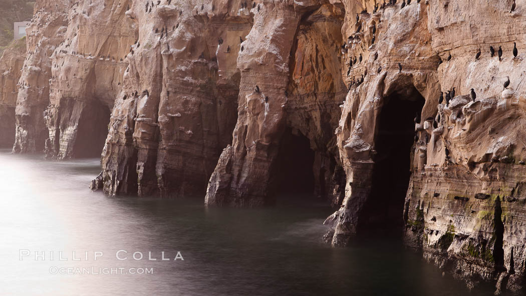 Sea Caves, the famous La Jolla sea caves lie below tall cliffs at Goldfish Point. Sunrise