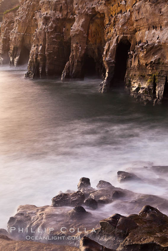 Sea Caves, the famous La Jolla sea caves lie below tall cliffs at Goldfish Point.  Sunrise. California, USA, natural history stock photograph, photo id 26443