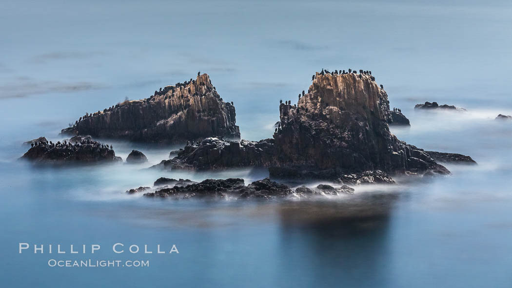 Cormorants and sea lions on Seal Rock, at night, waves lit by full moon. Laguna Beach, California, USA, natural history stock photograph, photo id 28864