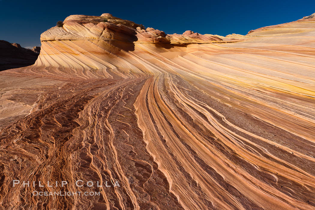 The Second Wave at sunset.  The Second Wave, a curiously-shaped sandstone swirl, takes on rich warm tones and dramatic shadowed textures at sunset.  Set in the North Coyote Buttes of Arizona and Utah, the Second Wave is characterized by striations revealing layers of sedimentary deposits, a visible historical record depicting eons of submarine geology. Paria Canyon-Vermilion Cliffs Wilderness, USA, natural history stock photograph, photo id 20689