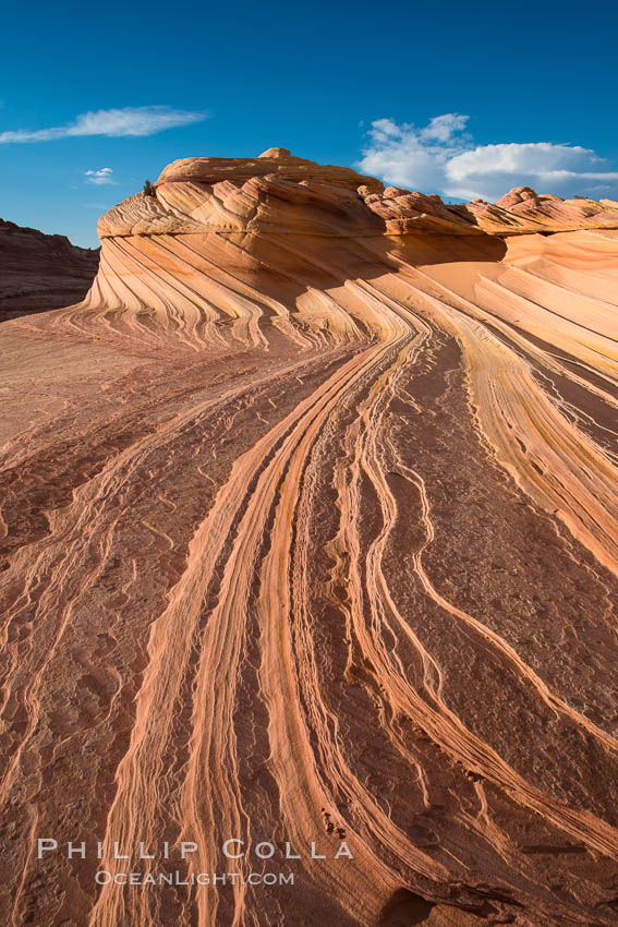 The Second Wave at Sunset, Vermillion Cliffs. The Second Wave, a curiously-shaped sandstone swirl, takes on rich warm tones and dramatic shadowed textures at sunset. Set in the North Coyote Buttes of Arizona and Utah, the Second Wave is characterized by striations revealing layers of sedimentary deposits, a visible historical record depicting eons of submarine geology. Paria Canyon-Vermilion Cliffs Wilderness, USA, natural history stock photograph, photo id 28619