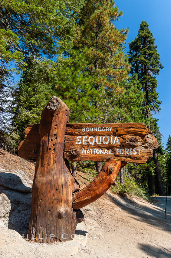 Sequoia National Forest entry sign. Sequoia Kings Canyon National Park, California, USA, natural history stock photograph, photo id 09903