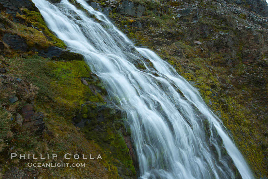 Shackleton Falls, named for explorer Sir Ernest Shackleton, formed from glacial meltwaters, near Stromness Bay. Stromness Harbour, South Georgia Island, natural history stock photograph, photo id 24639