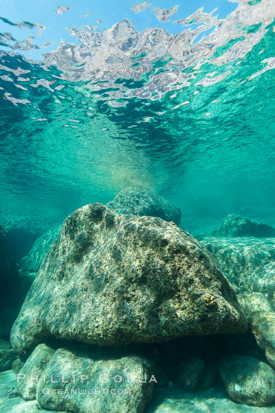 In the Shallows at Isla San Francisquito, Sea of Cortez. Baja California, Mexico, natural history stock photograph, photo id 33638