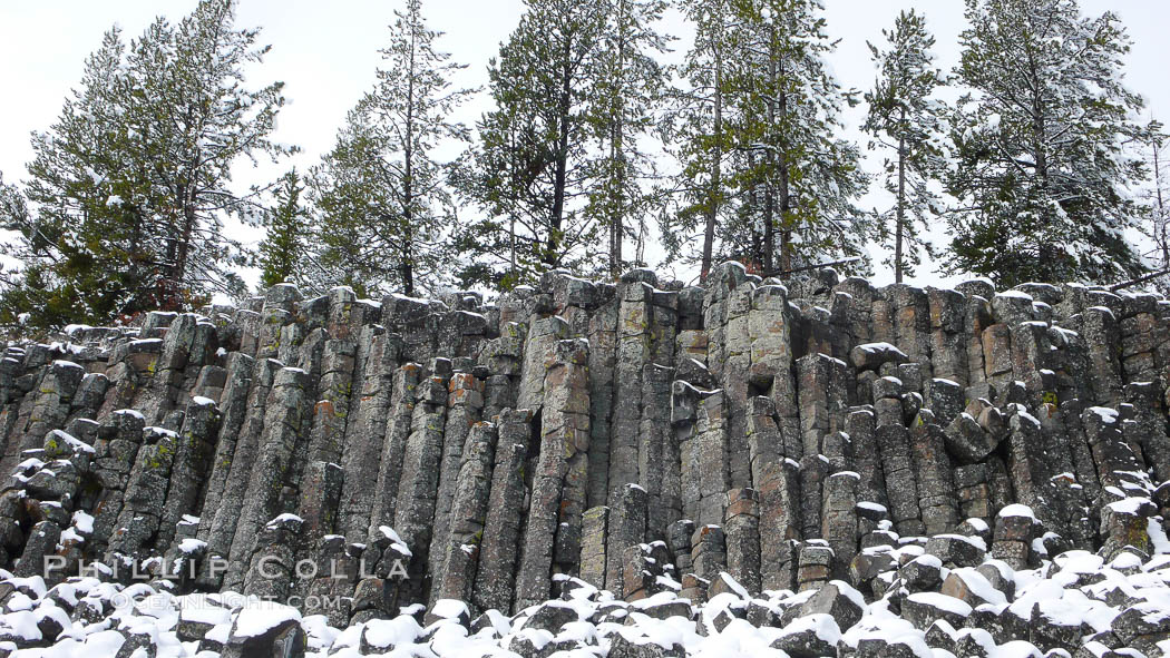 Sheepeater Cliffs, an example of columnar jointing in basalt due to shrinkage during cooling. Yellowstone National Park, Wyoming, USA, natural history stock photograph, photo id 19794